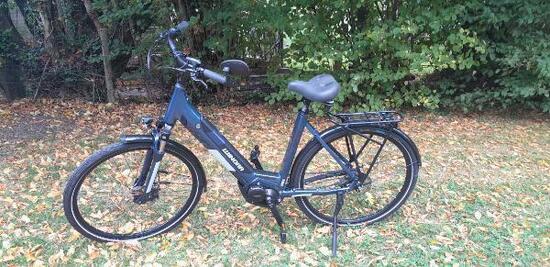Entre Particuliers - Vélo électrique taille 54
