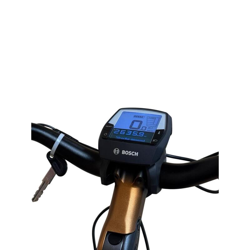 Second Hand - E-BIKE Flyer Gotour2 5.00  Nexus - Canou