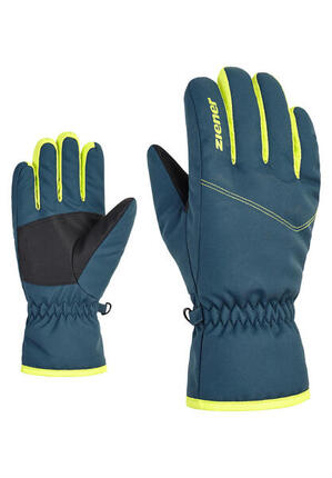 Skihandschuhe ZI - 1785 schwarz