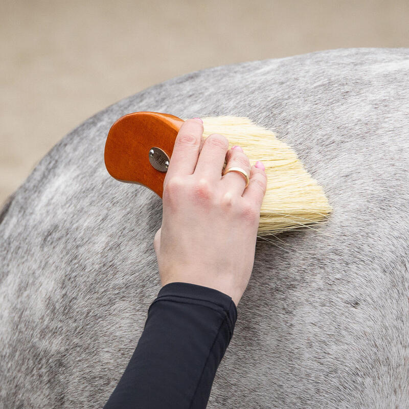 QHP Borstelset Royal - Bruin