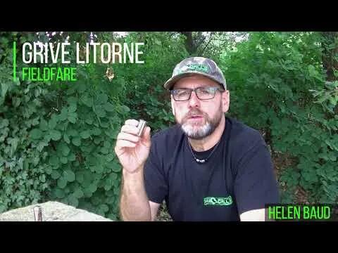 Appeau grive litorne (tcha-tcha) 3/4