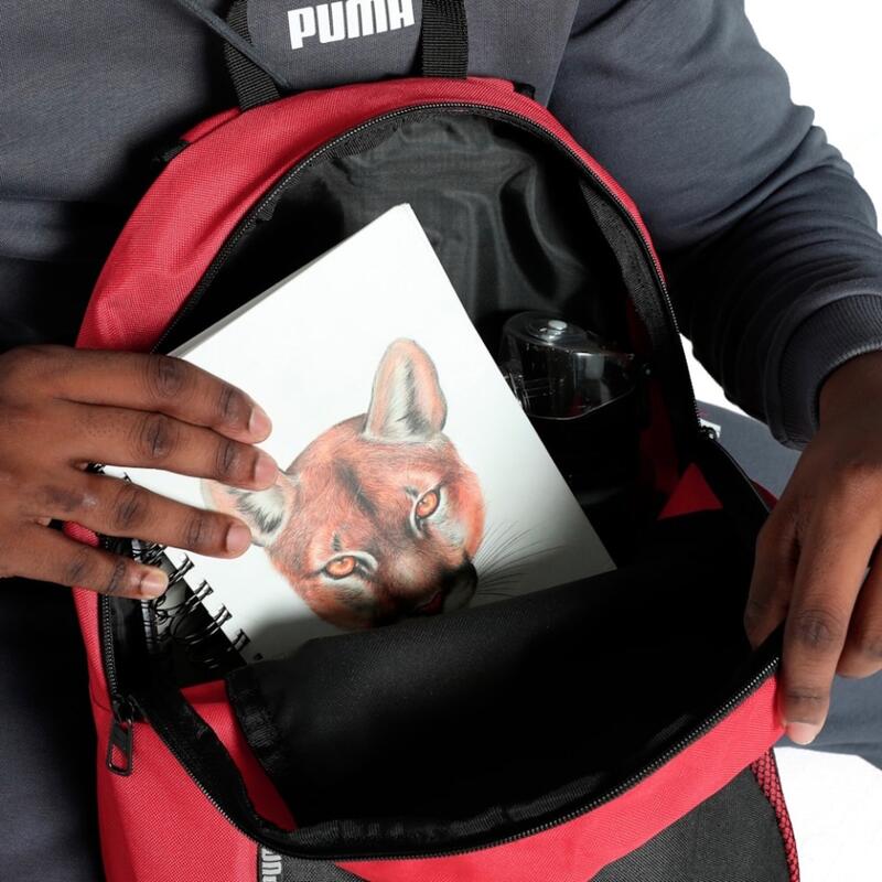 Rucsac Puma Team Goal Core, 44x30x14 cm