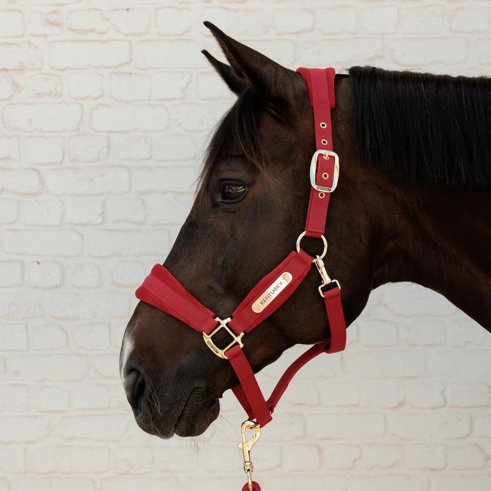 Licol velvet rouge cob 3/7