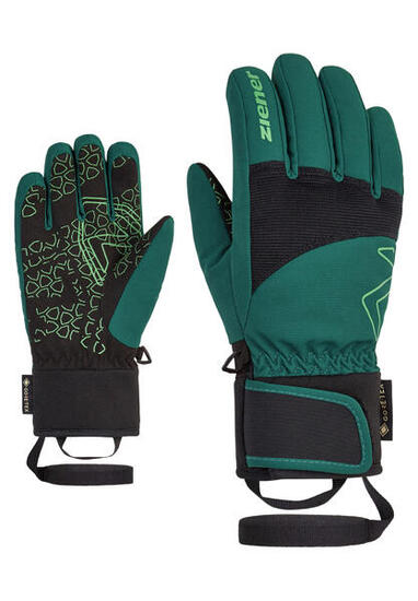 Skihandschuhe LOTAR-Z GTX PR schwarz