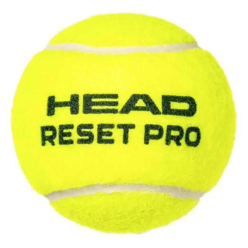 HEAD picture