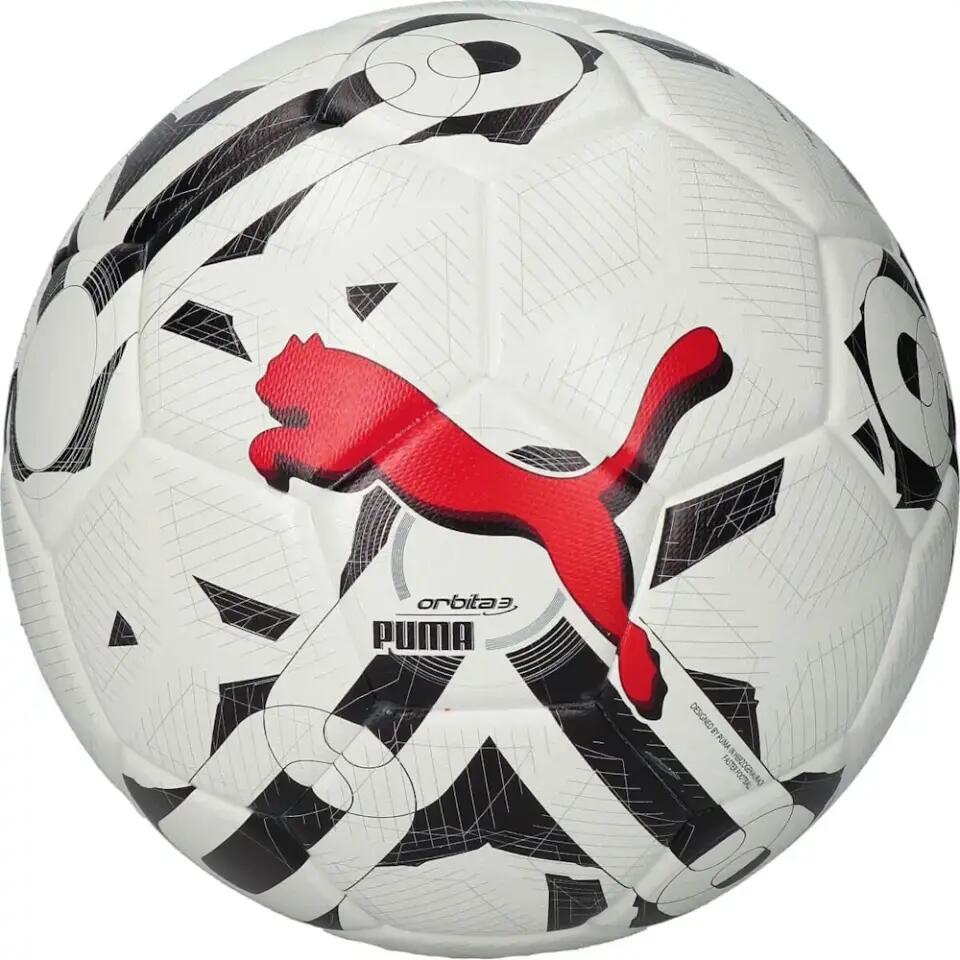 PUMA picture
