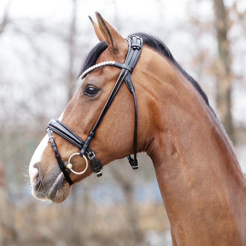 Bridas de equitación anatómicas para caballo Kavalkade Florina 3/6