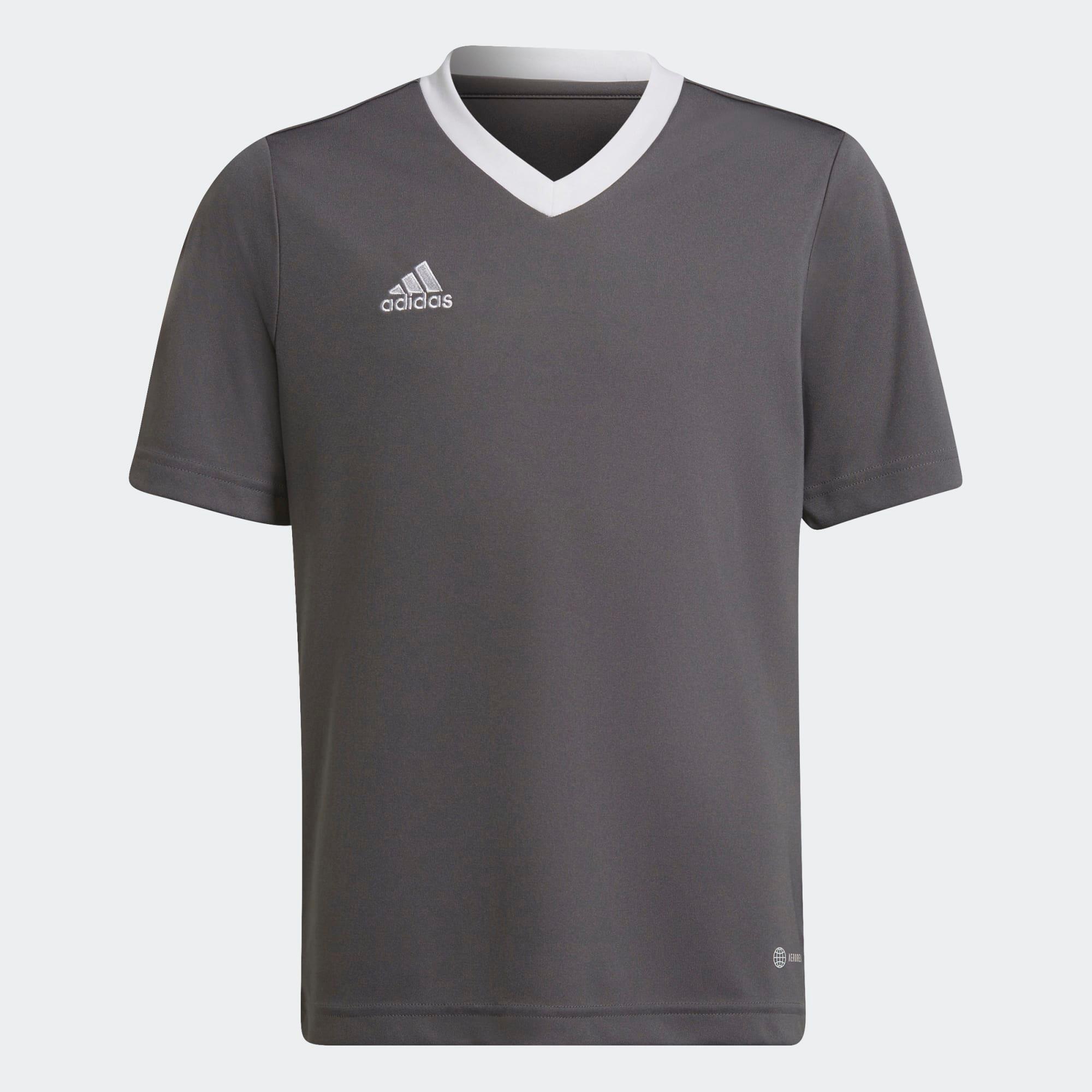 ADIDAS Adidas Kids Entrada 22 Jersey in Team Grey Four