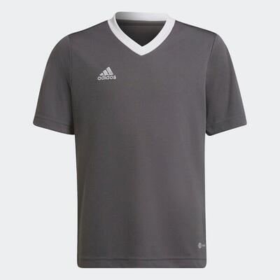 Adidas Entrada22 Kindertrikot für Jungen und Mädchen - Team Grau Vier