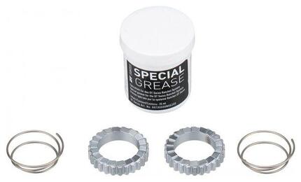 Service Kit DT Swiss Ratchet 36 Dents
