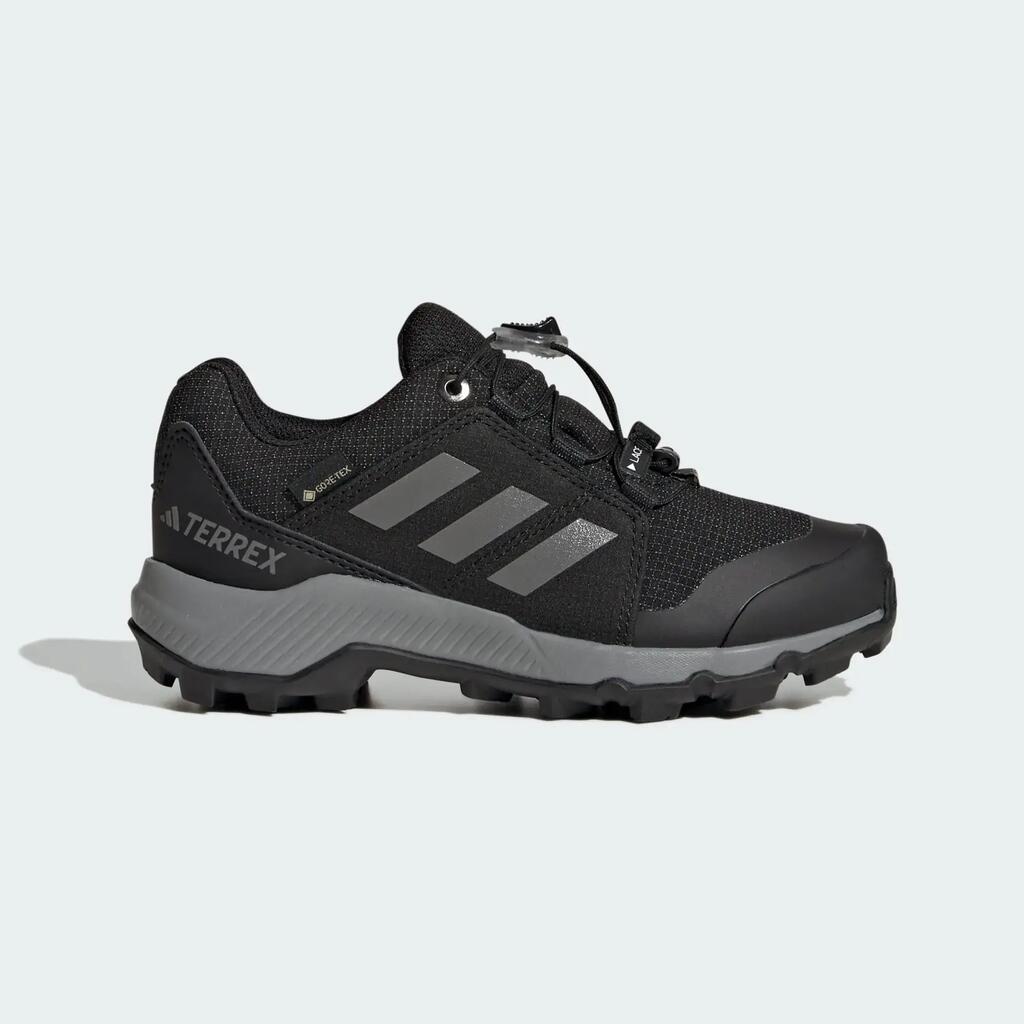 Terrex GORE-TEX Hiking Shoes