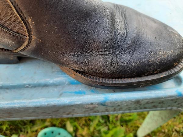 Entre Particuliers - Bottines d'équitation basses en cuir 36 5/5