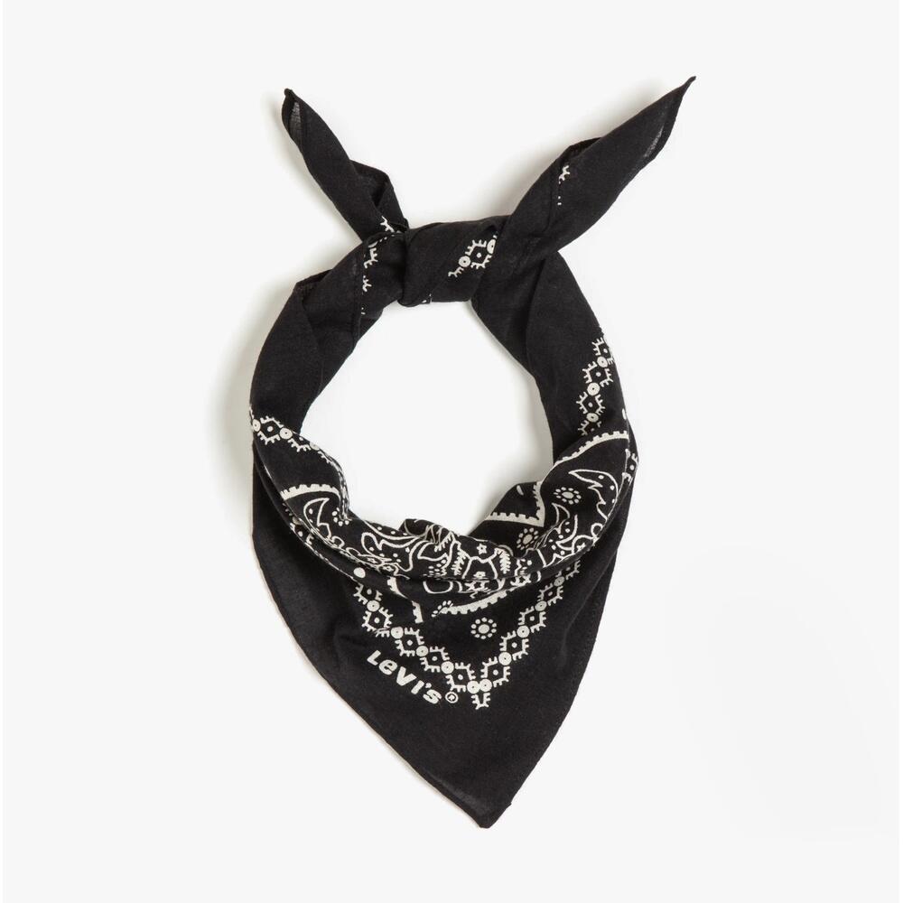 Mens Outdoors Scarf Paisley Bandana