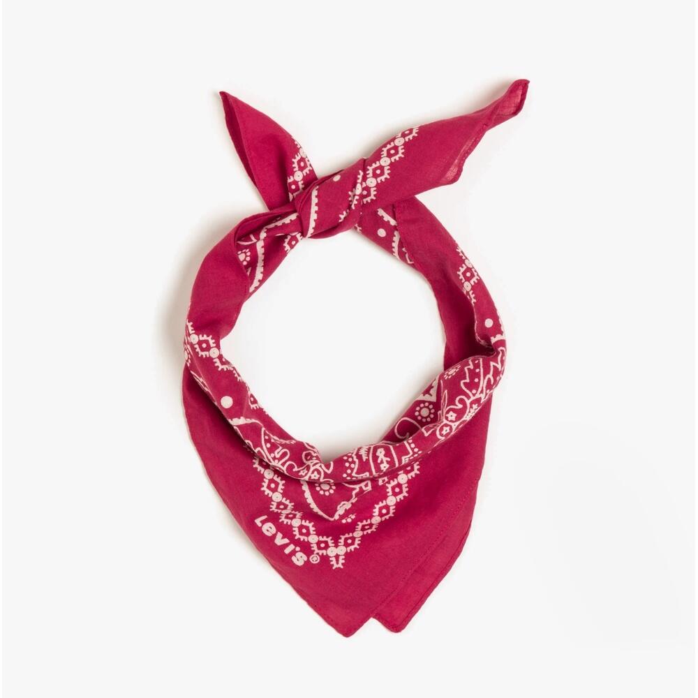 Mens Outdoors Scarf Paisley Bandana