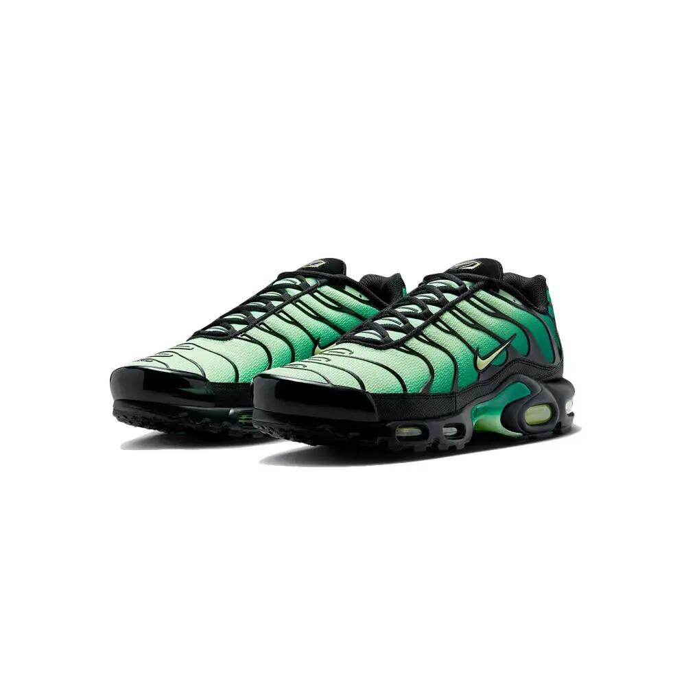 Basket Nike AIR MAX PLUS TN 2/7