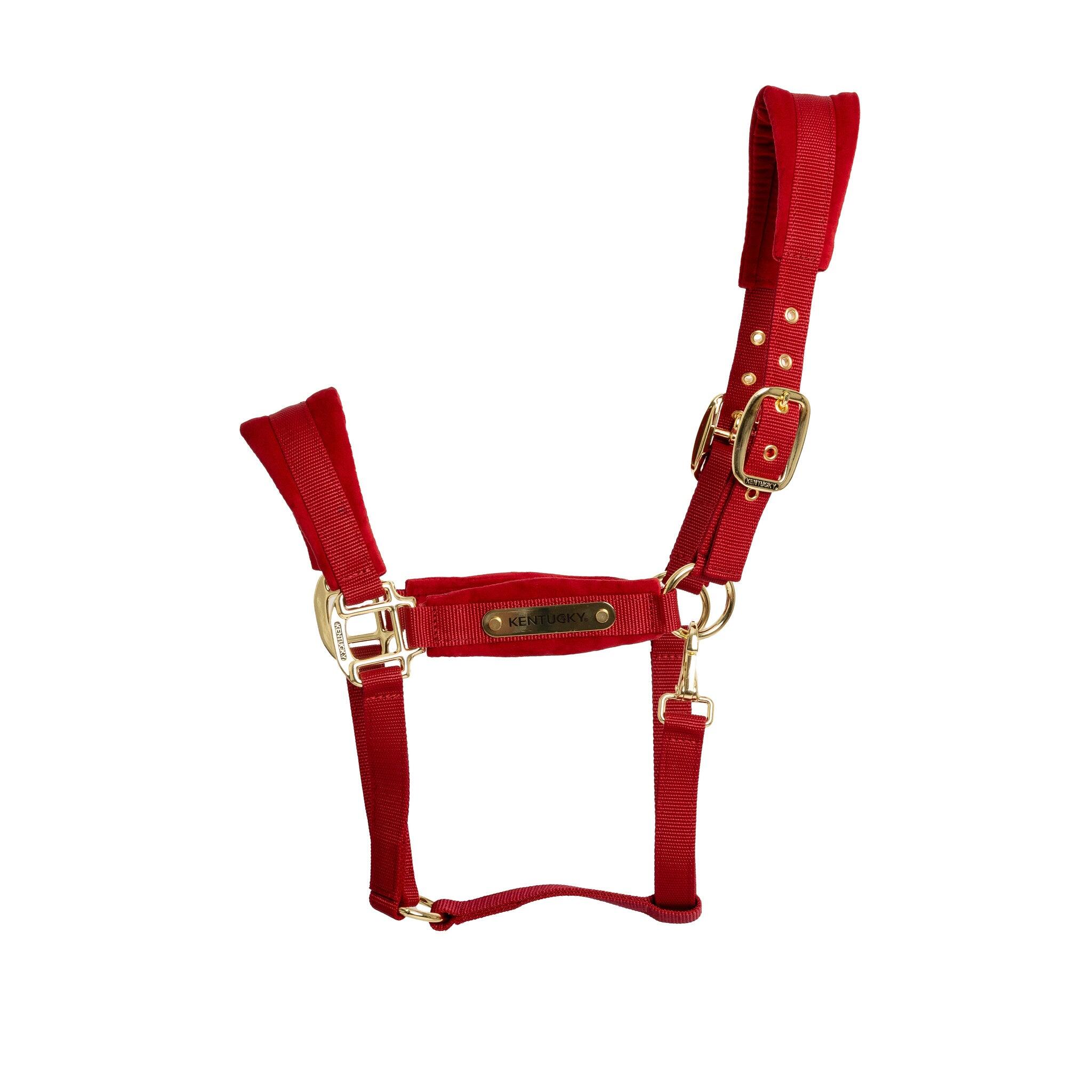 Licol velvet rouge cob 2/7