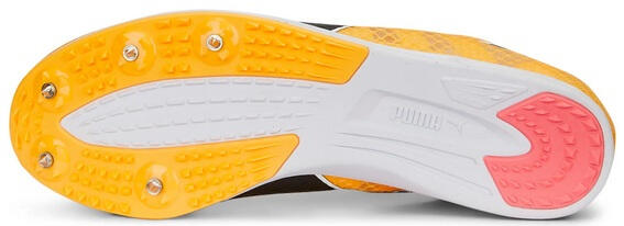 Chaussures d'athlétisme Puma Evospeed Distance 11 4/6