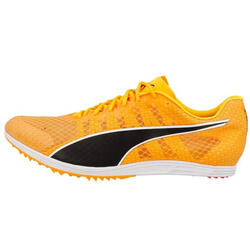 Chaussures d'athlétisme Puma Evospeed Distance 11