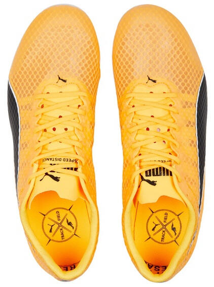 Chaussures d'athlétisme Puma Evospeed Distance 11 3/6