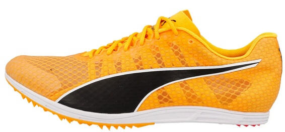 PUMA picture