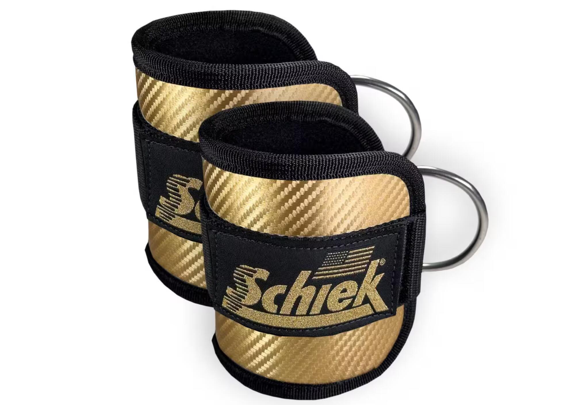 SCHIEK SPORT'S INC. USA picture