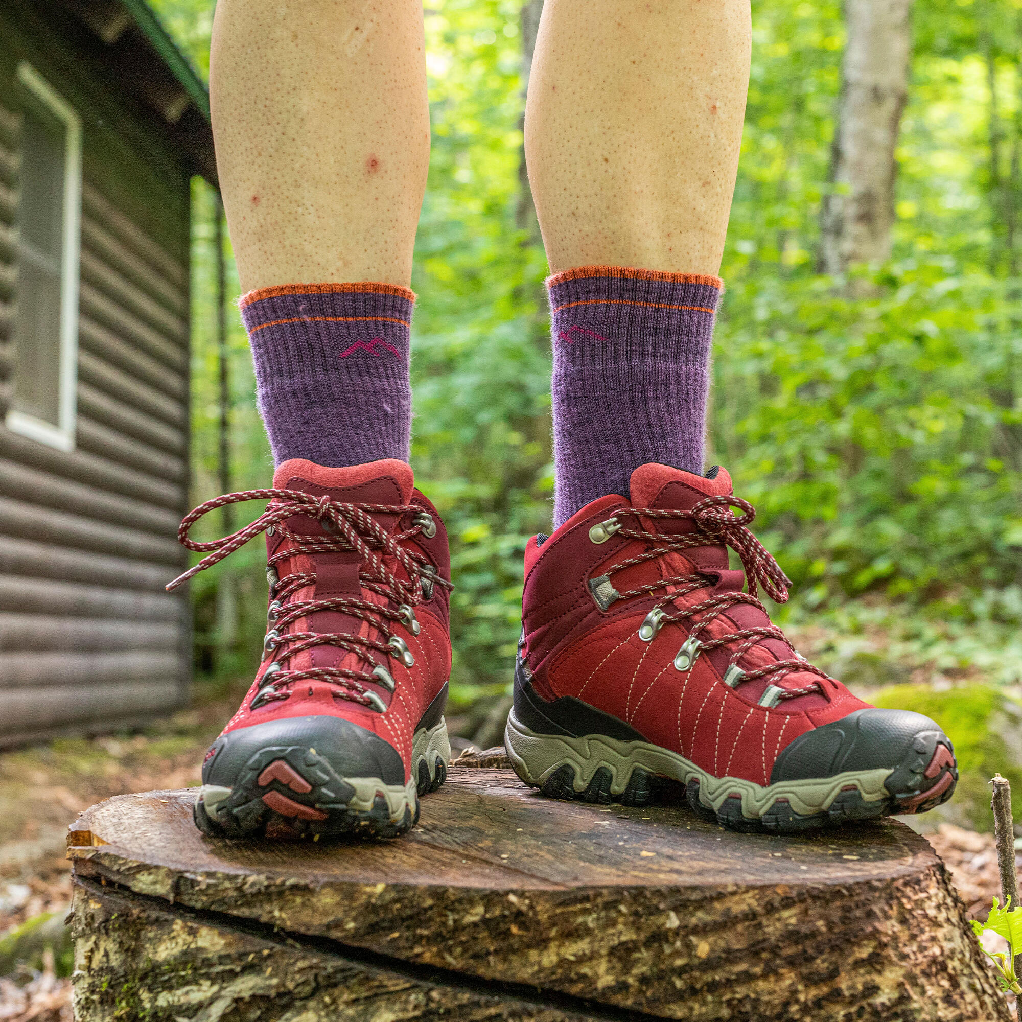 Darn Tough Chaussettes Femme Bottes Mi-Épaisses Randonnée Mérinos Sans Couture 3/5