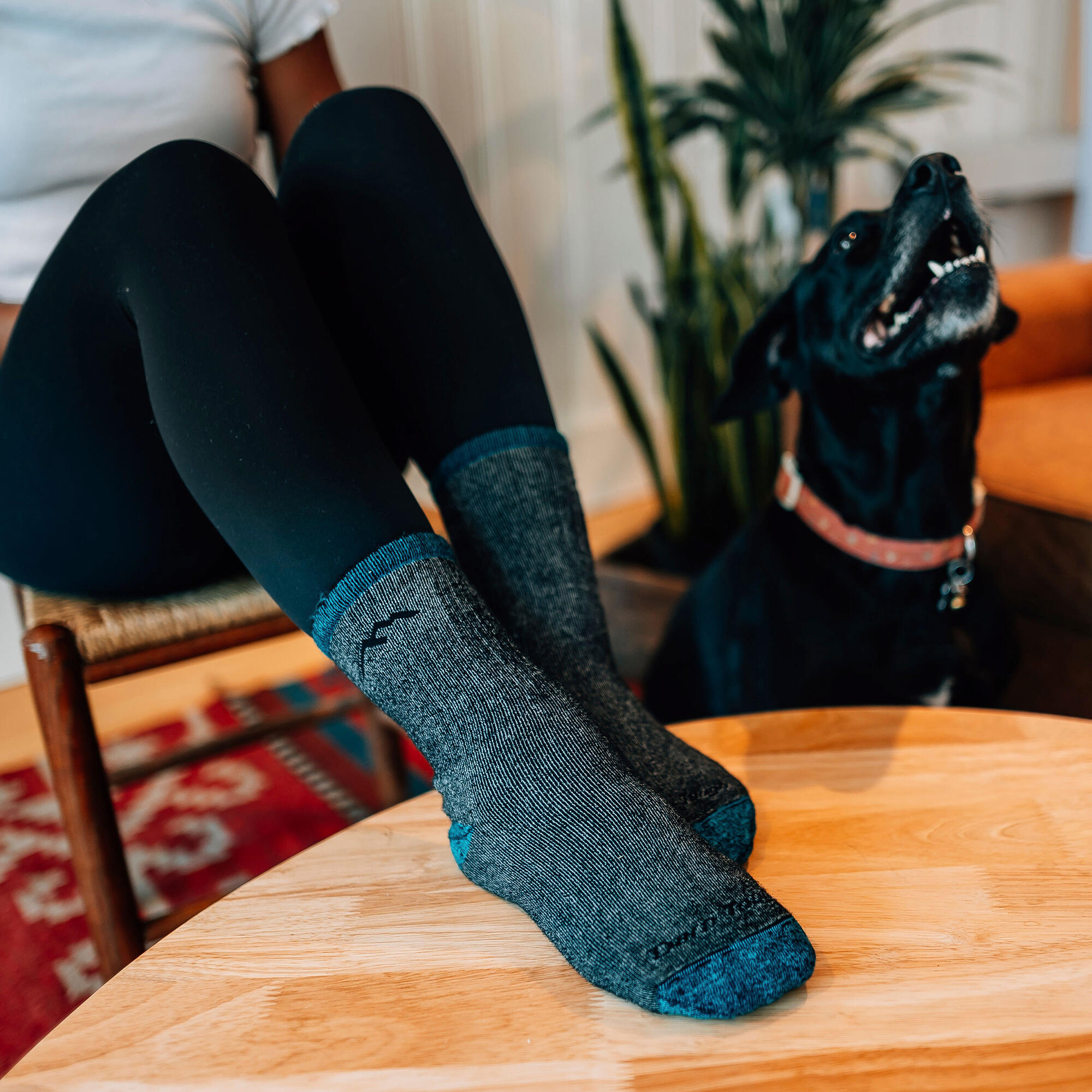 Darn Tough Chaussettes Femme Micro Crew Randonnée Alpinisme Laine Épaisses 4/5