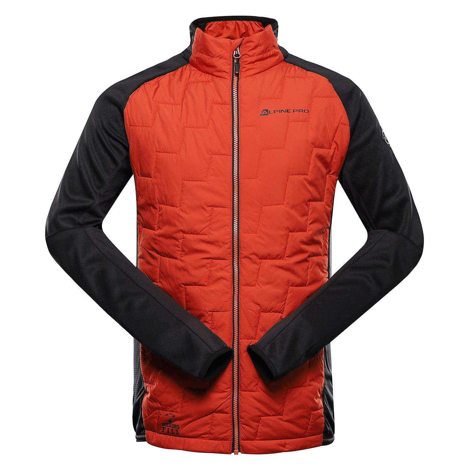 ALPINE PRO picture