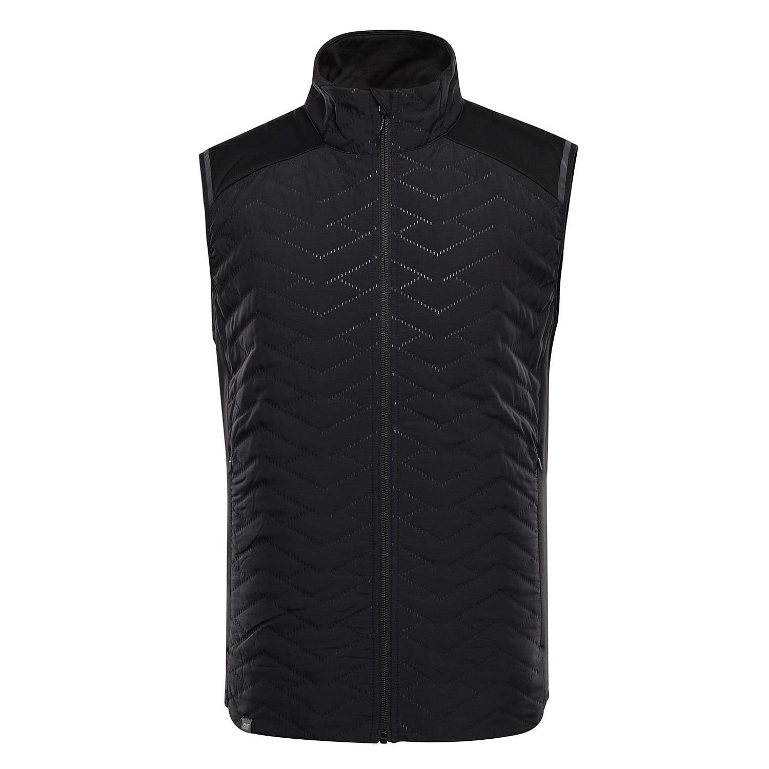 ALPINE PRO picture