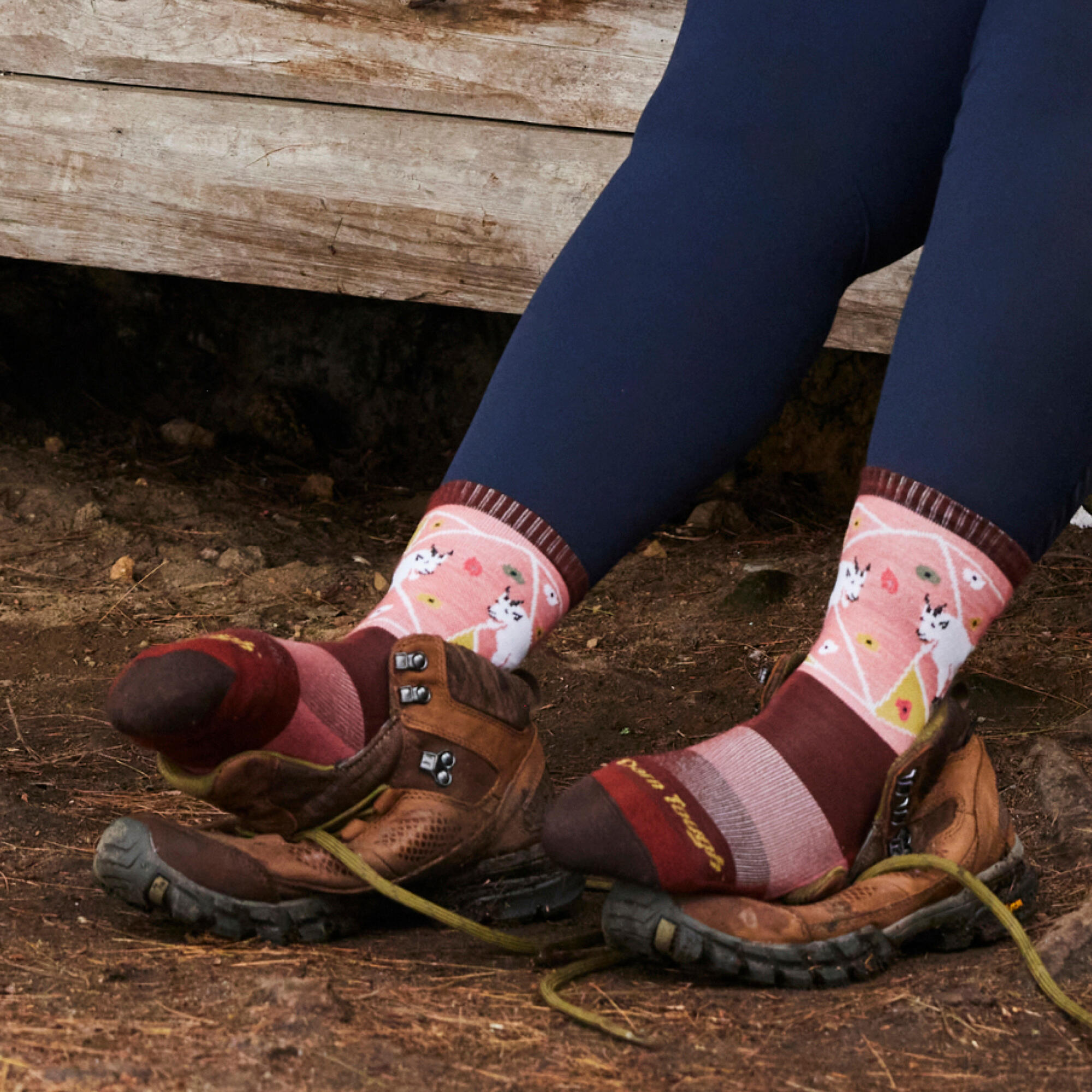 Darn Tough Chaussettes Femme Randonnée Motif Animaux Laine Mérinos 3/5