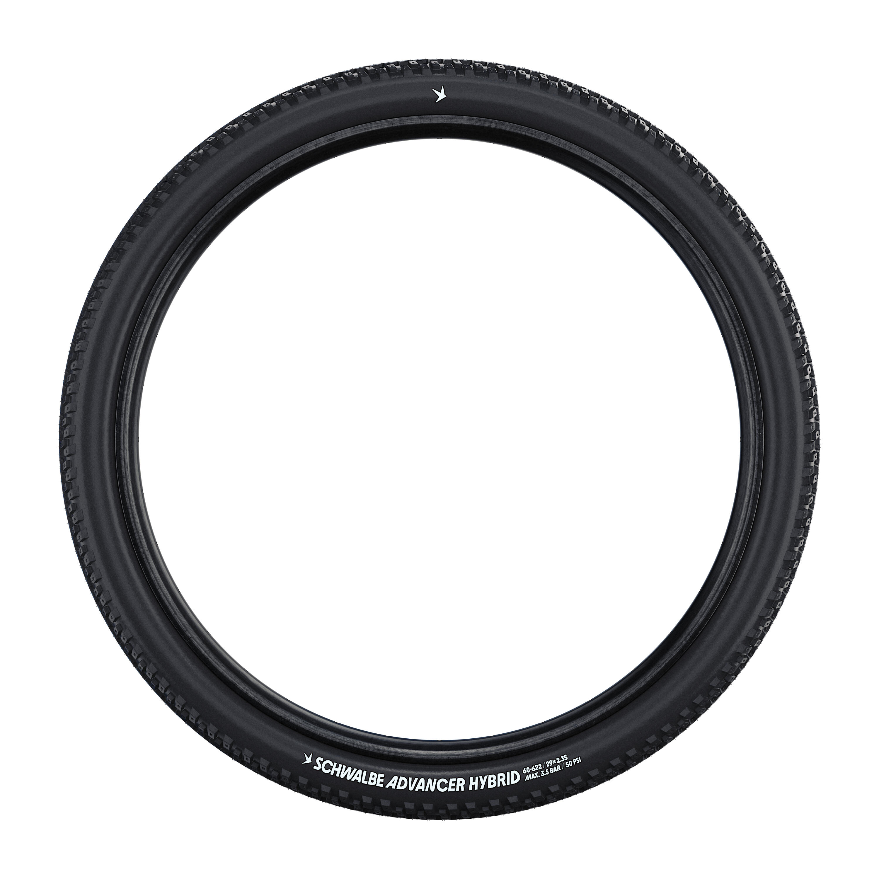 SCHWALBE picture