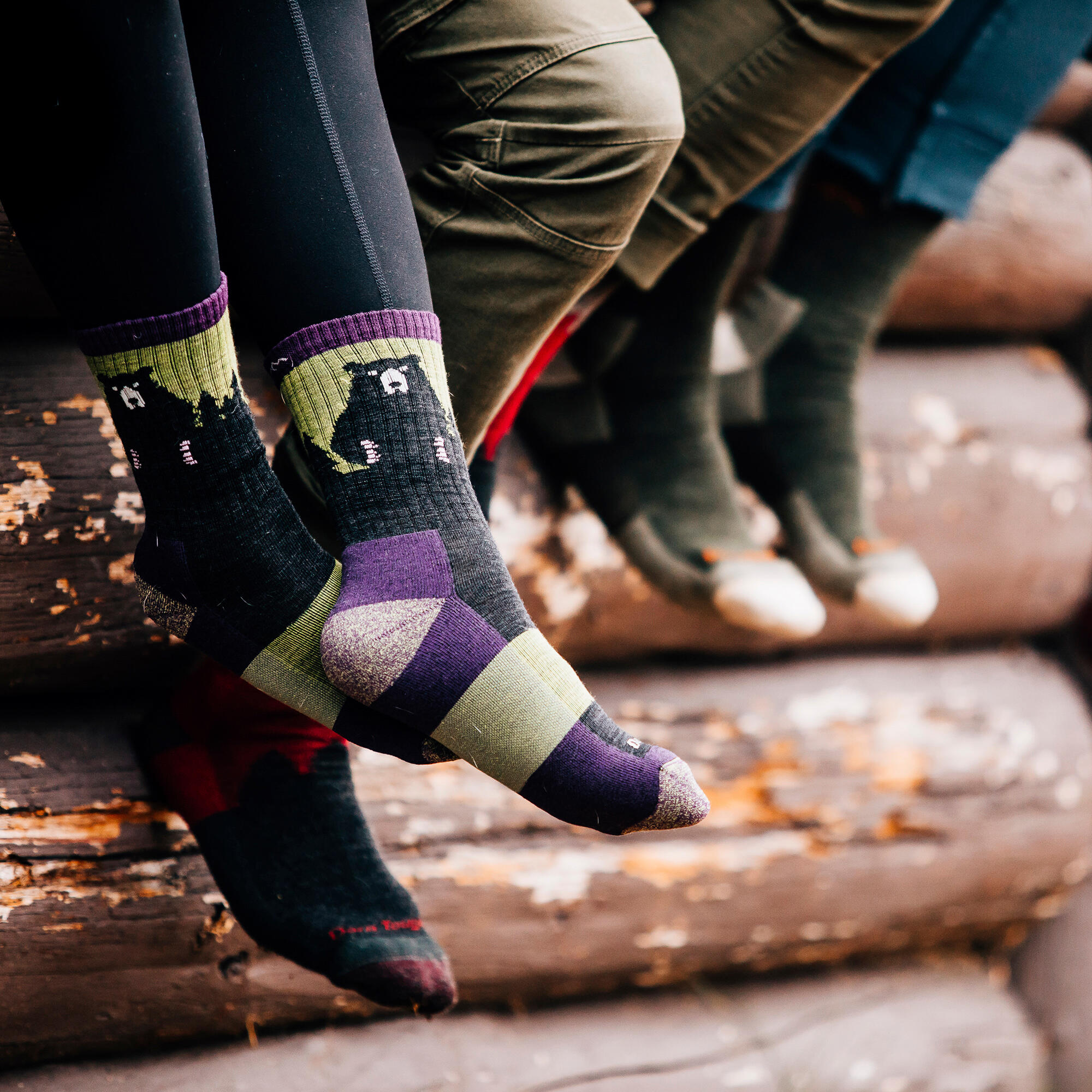 Darn Tough - Damen Merino Wandersocken Bären-Motiv Gemusterte Trekking-Socken 3/5