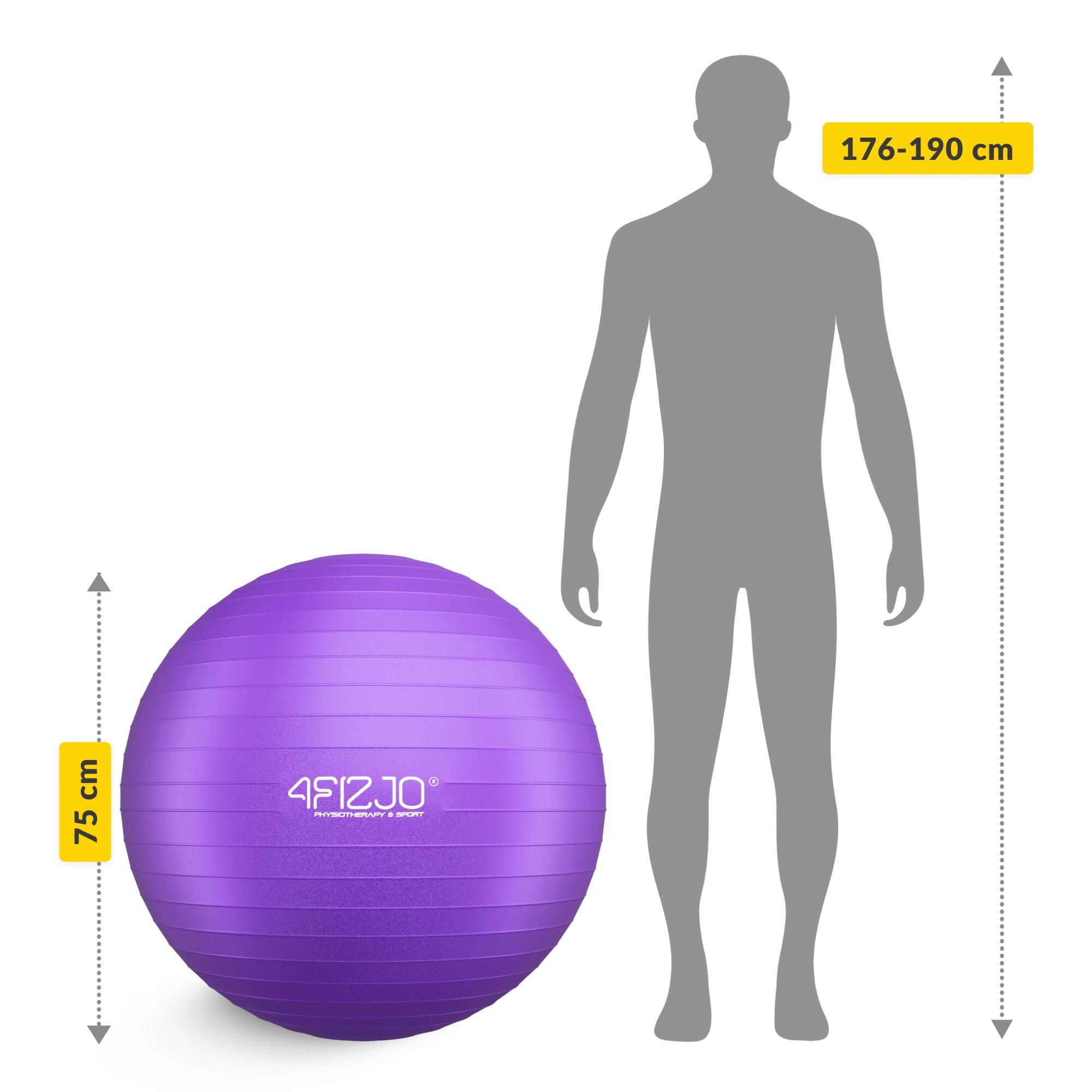 Palla ginnica fitness riabilitativa anti-burst postura 4FIZJO Reh Ball 4/7