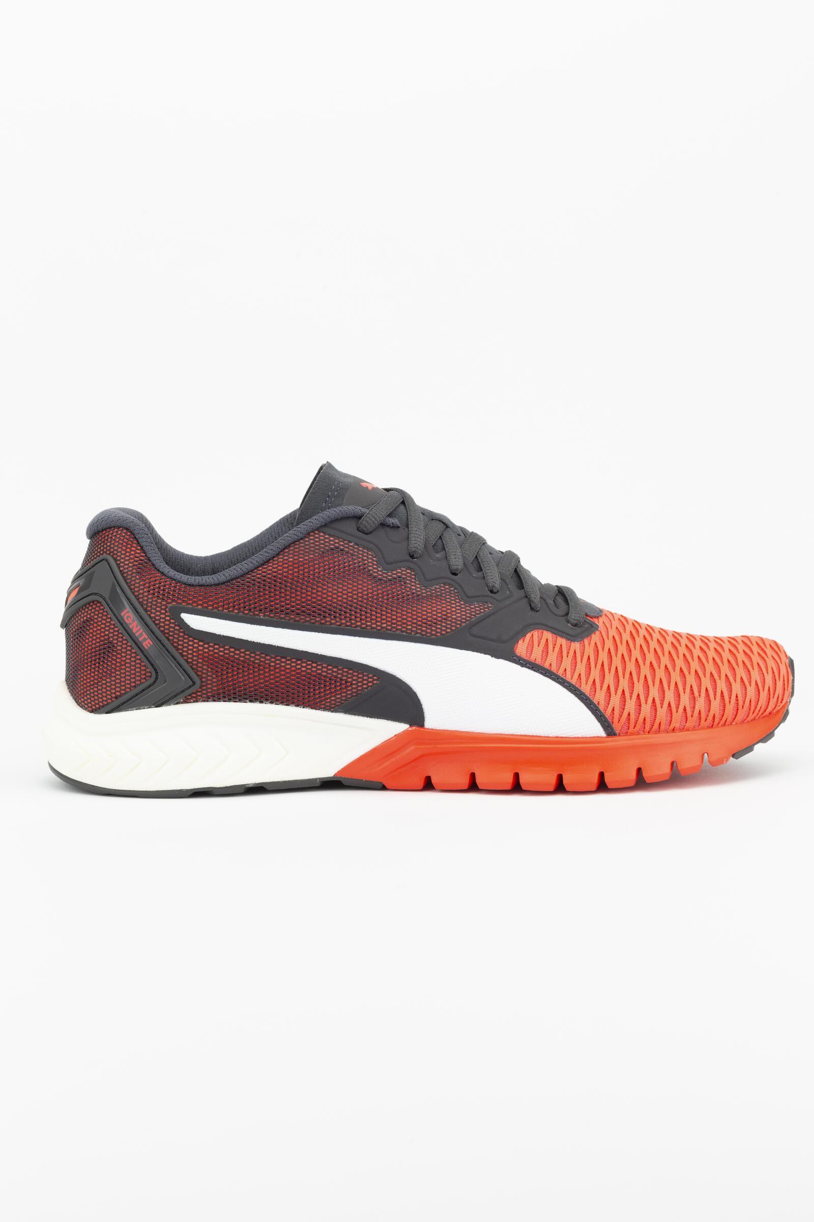PUMA picture