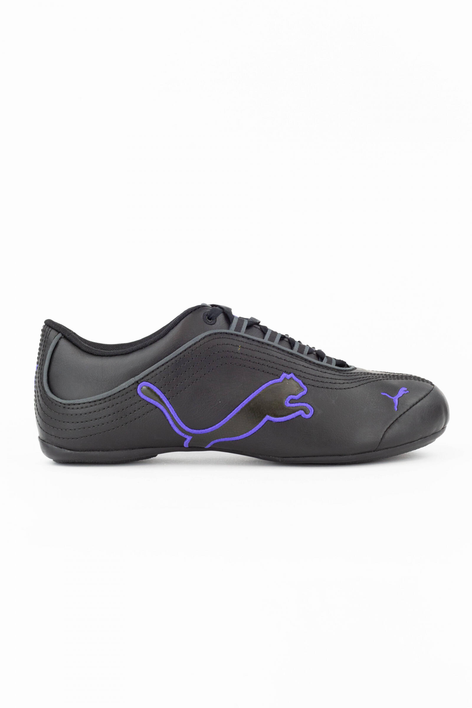 PUMA picture