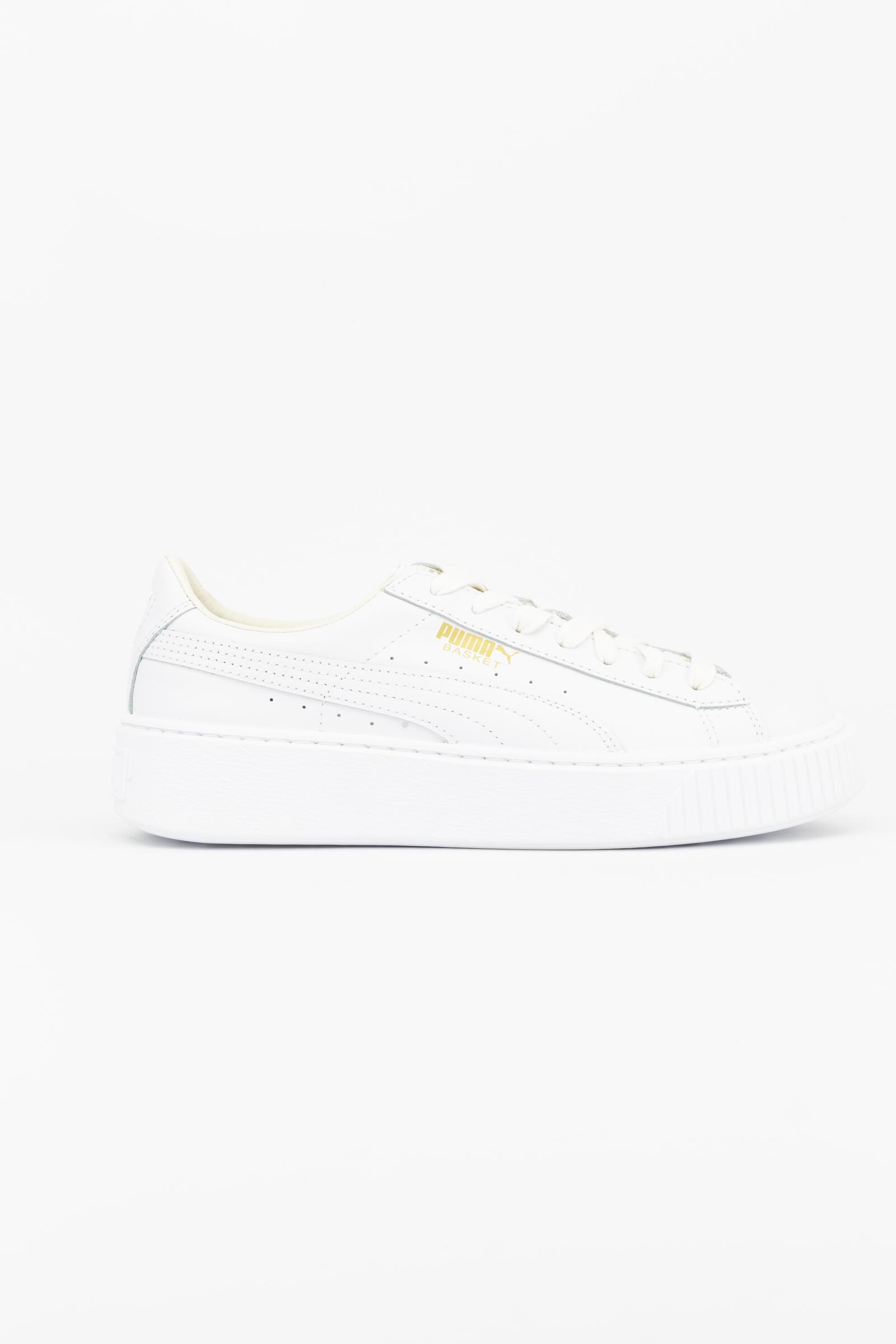 PUMA picture