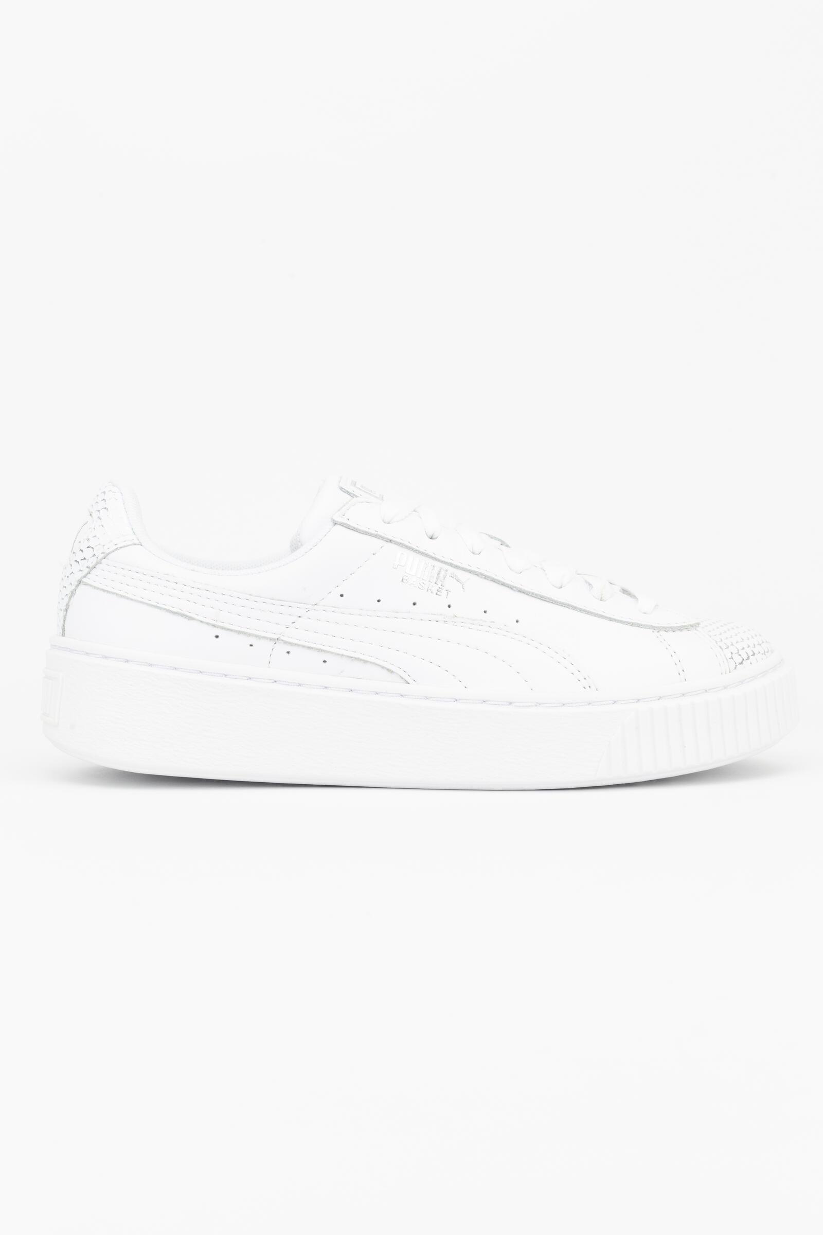 PUMA picture