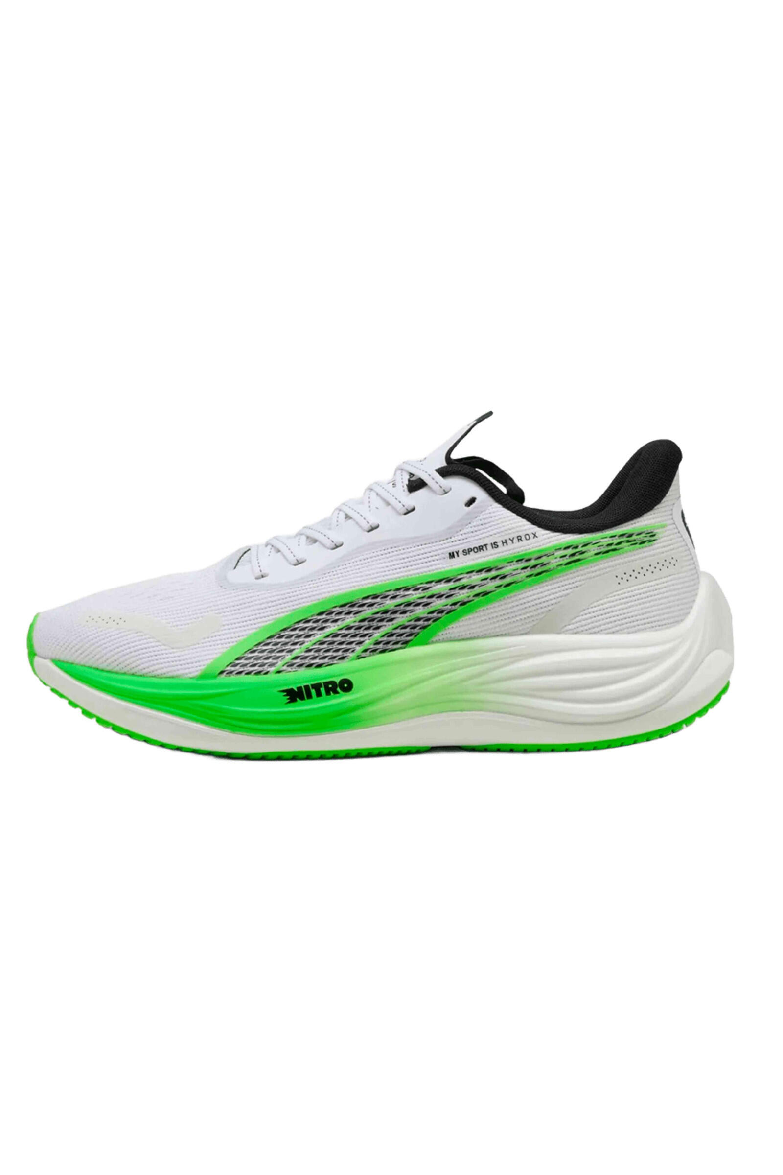 PUMA picture