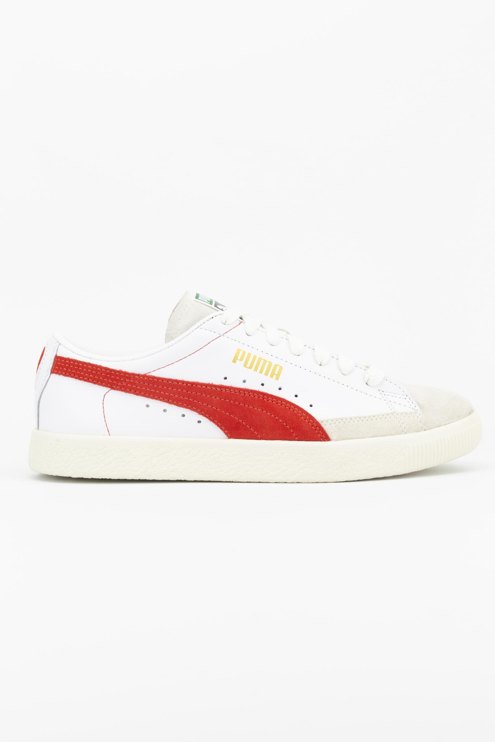 PUMA picture