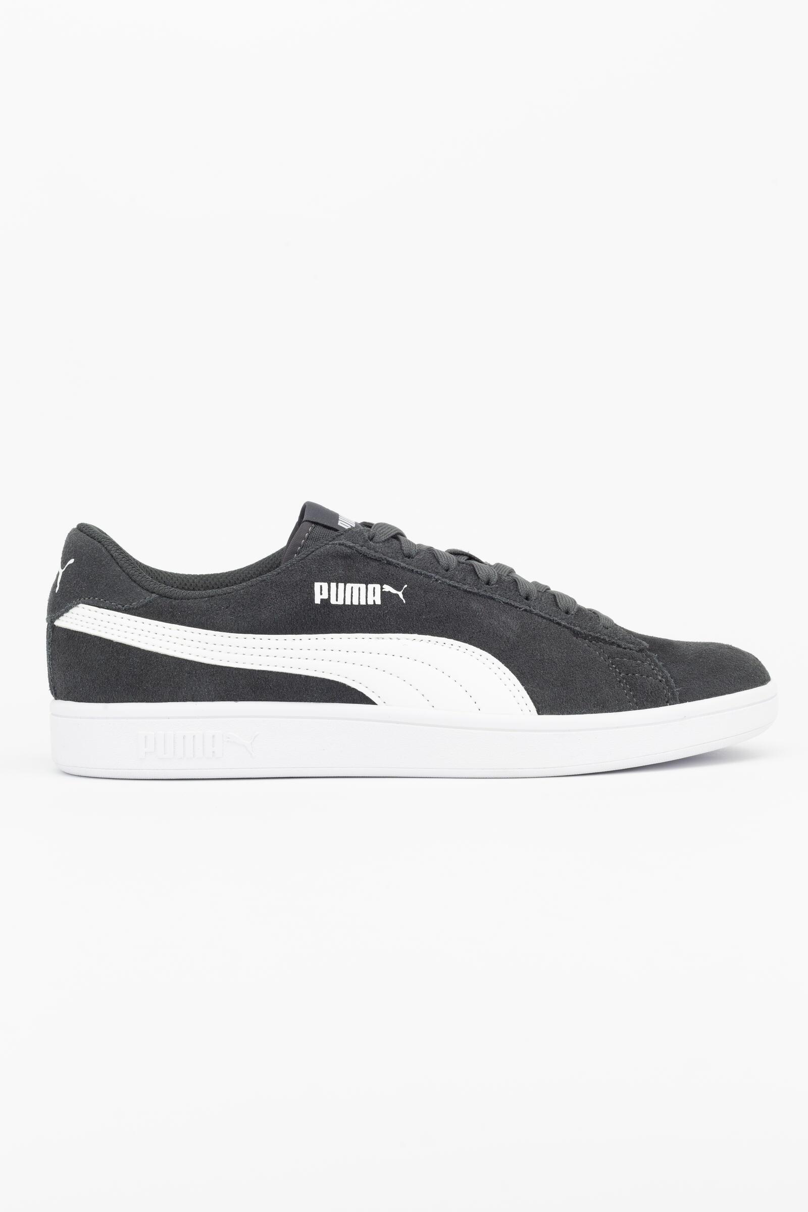 PUMA picture