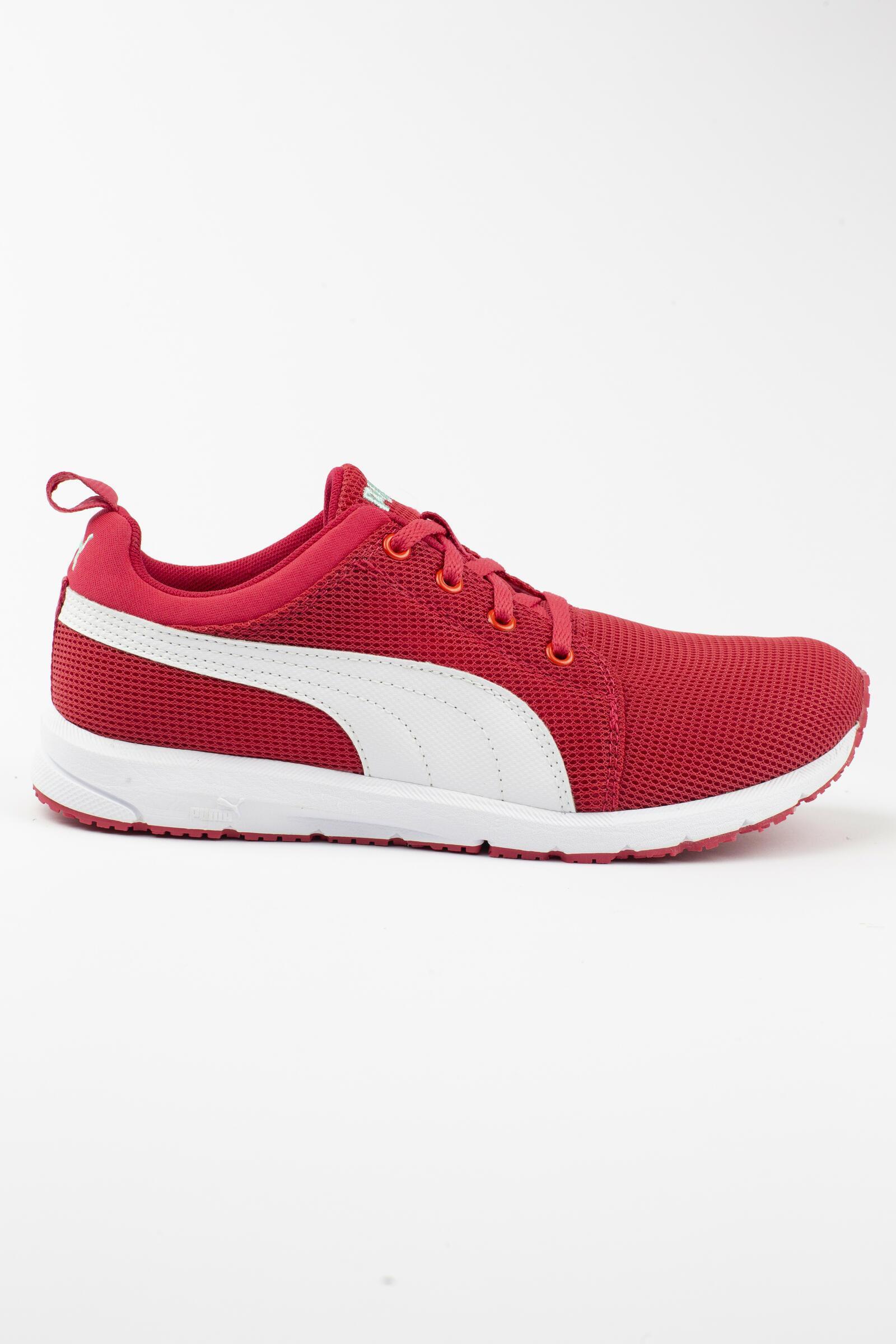PUMA picture