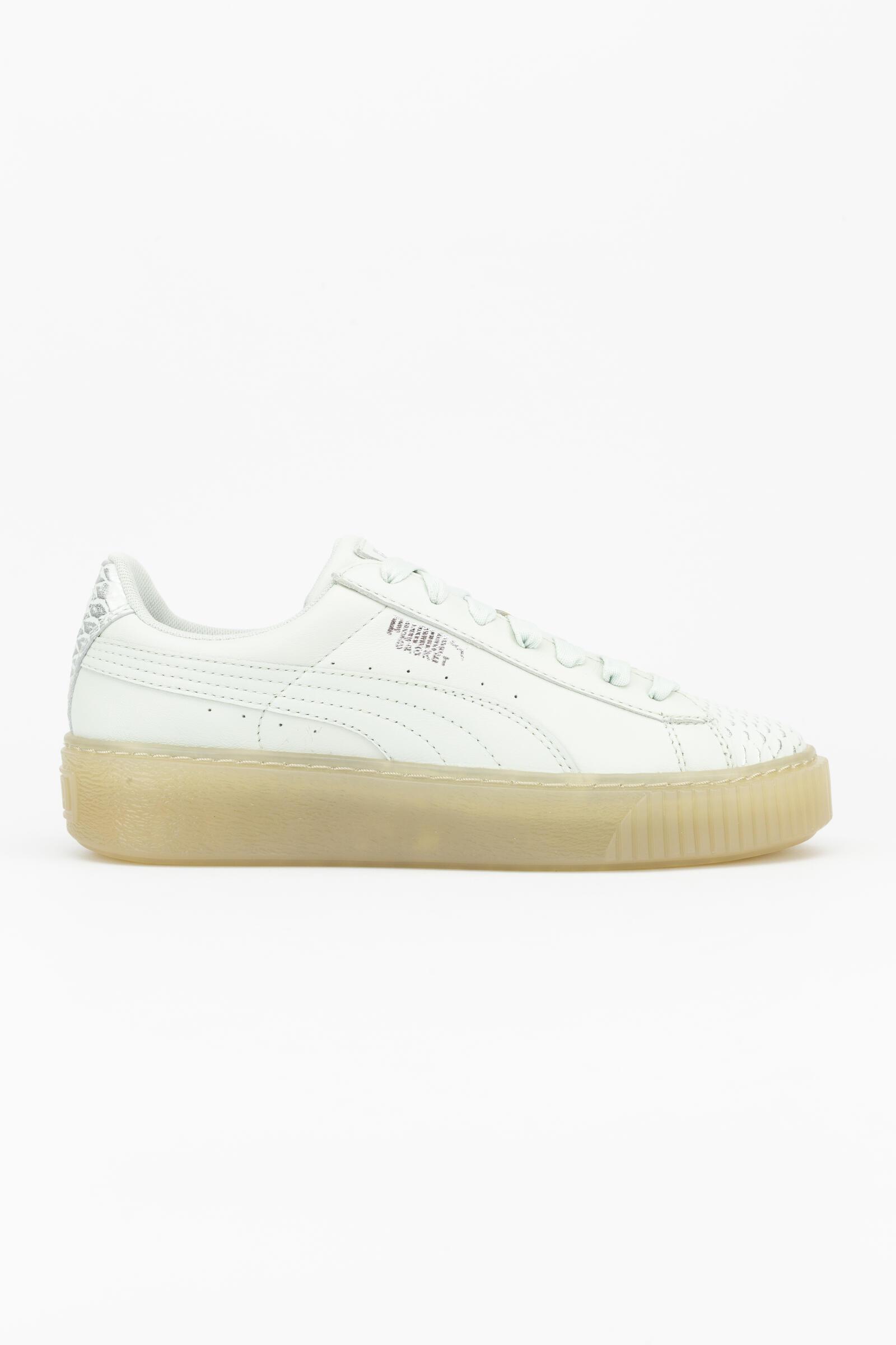 PUMA picture