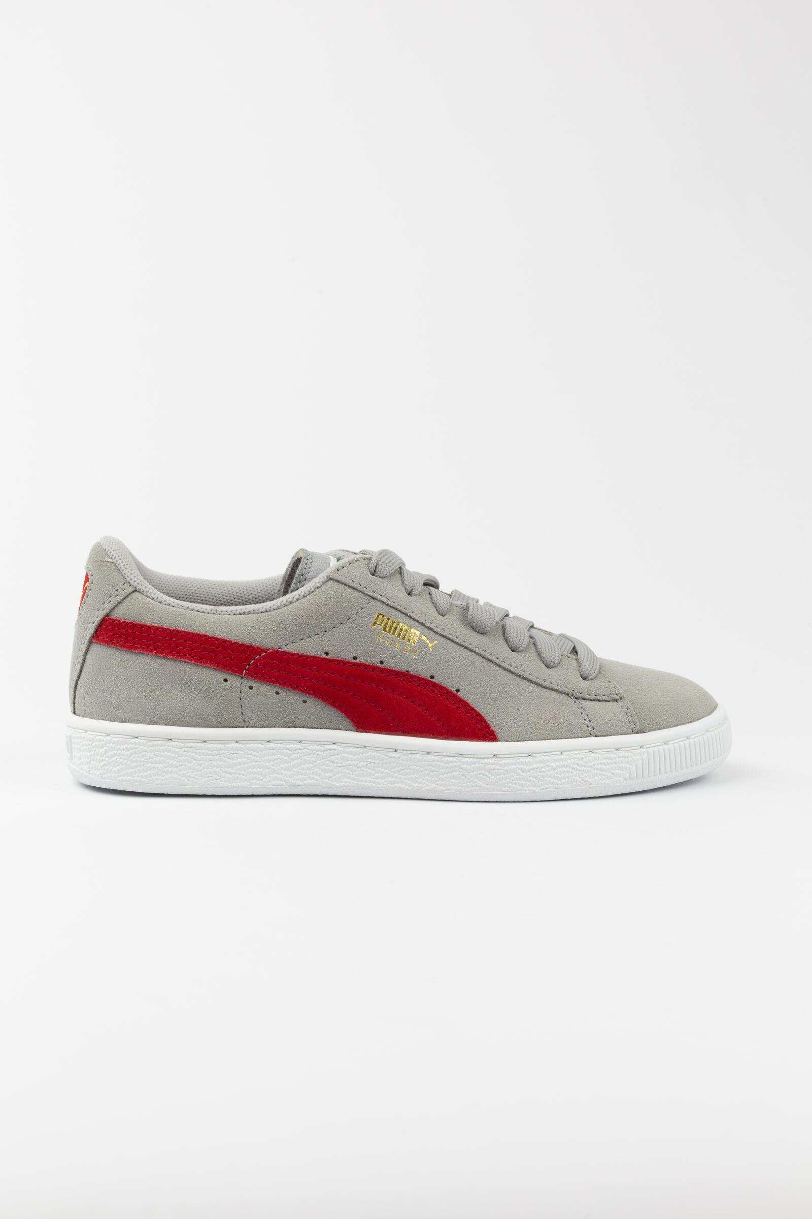 PUMA picture
