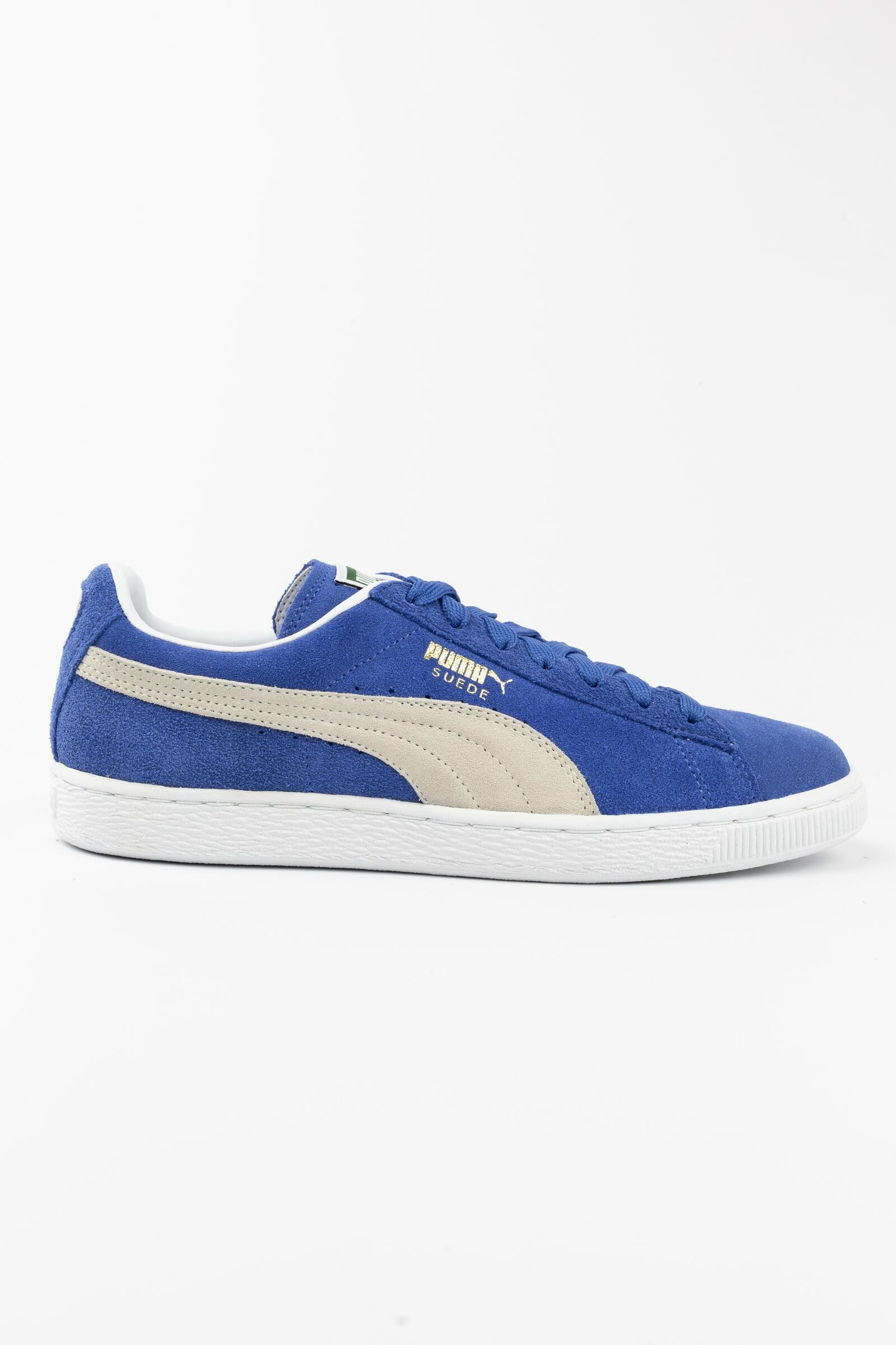 PUMA picture