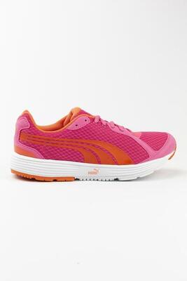 Puma Zapatillas Deportivas Descendant Gris Niños