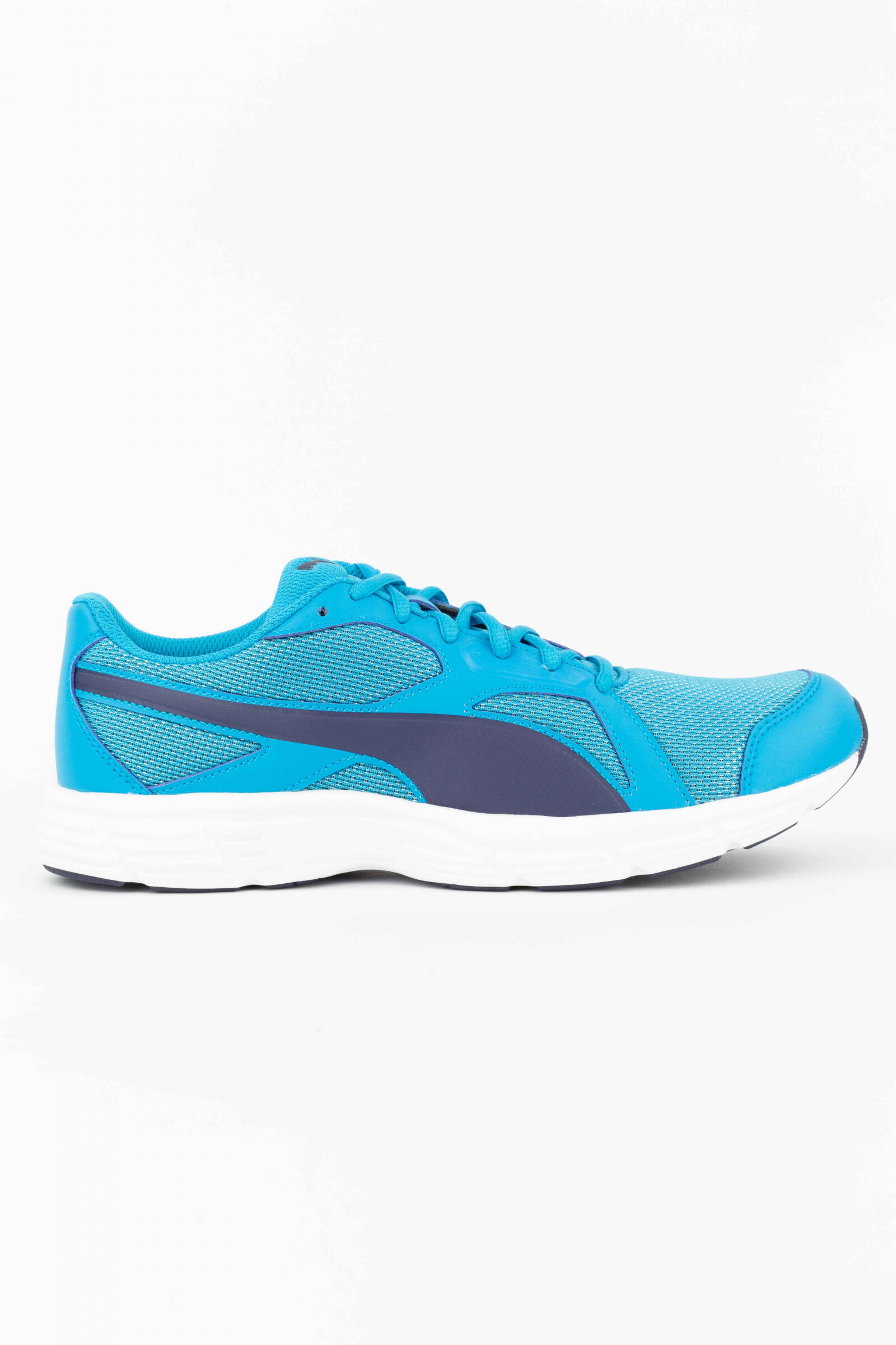PUMA picture