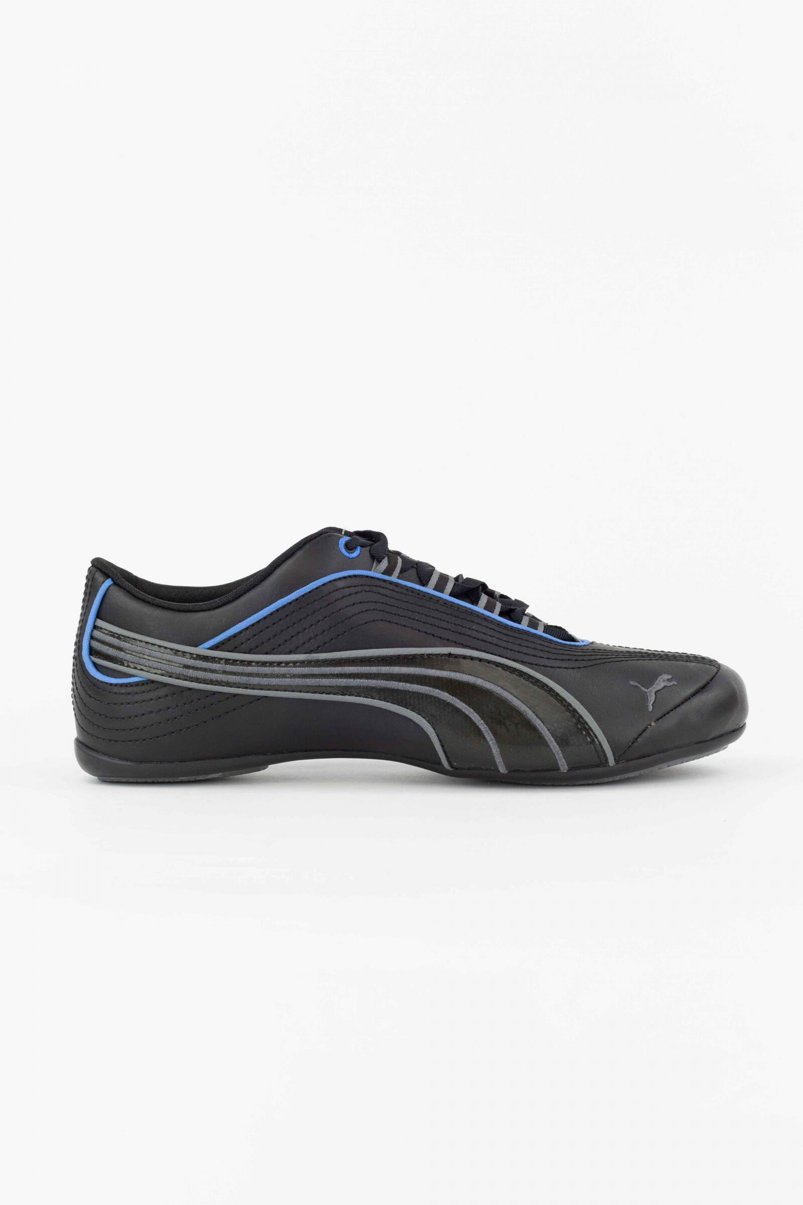 PUMA picture