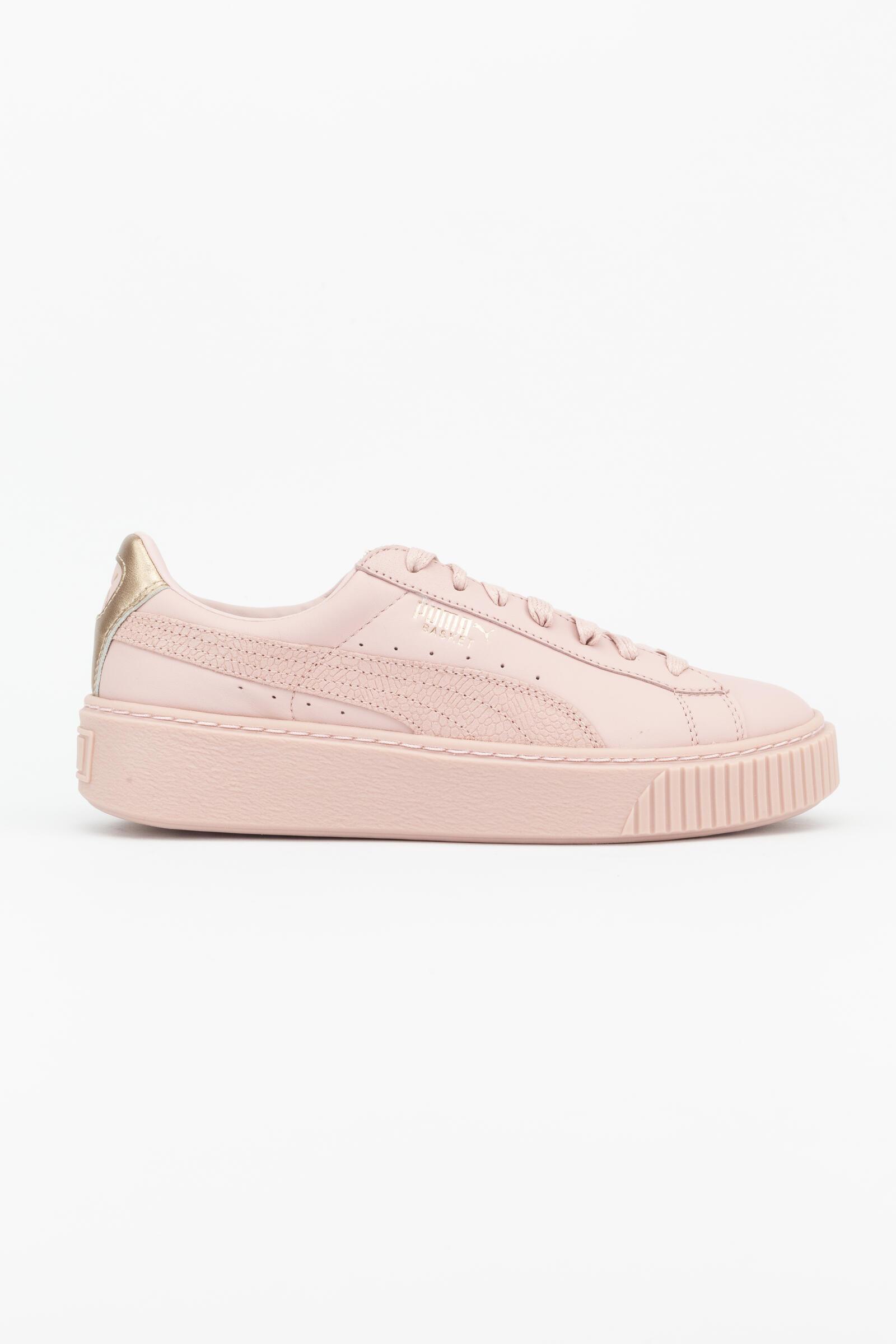 PUMA picture