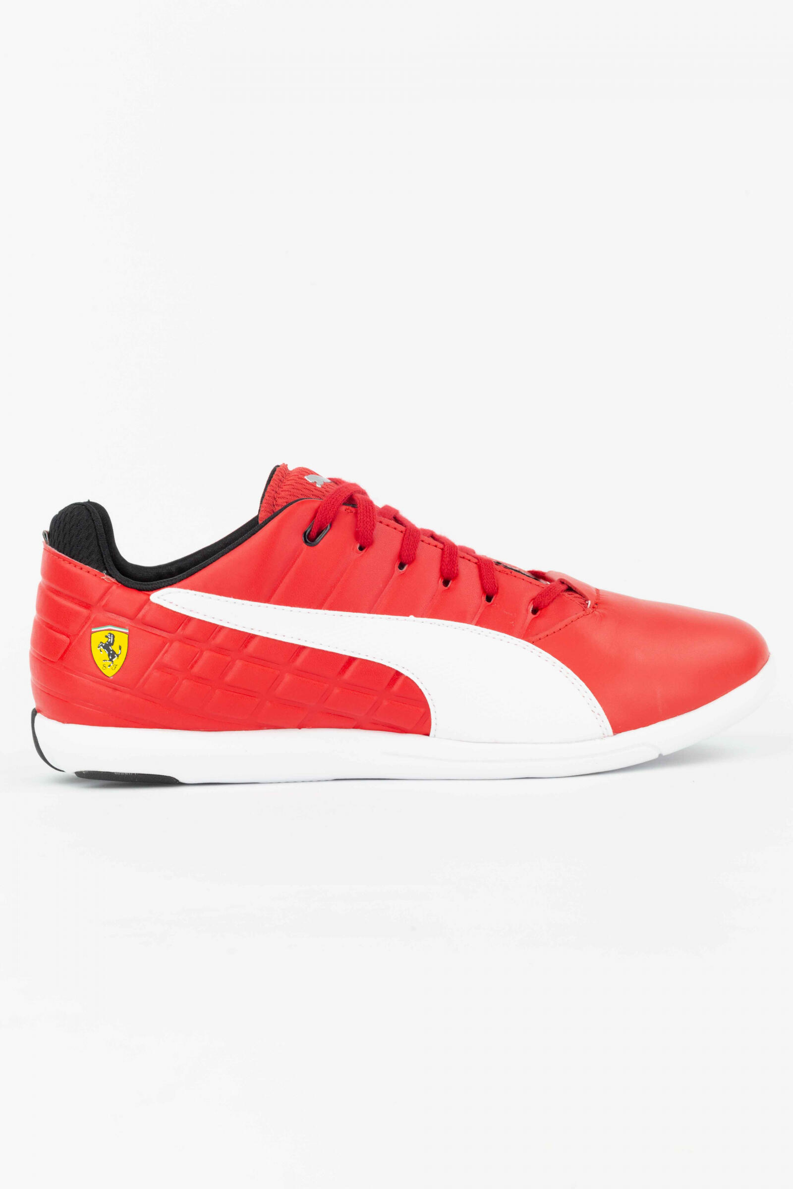 PUMA picture