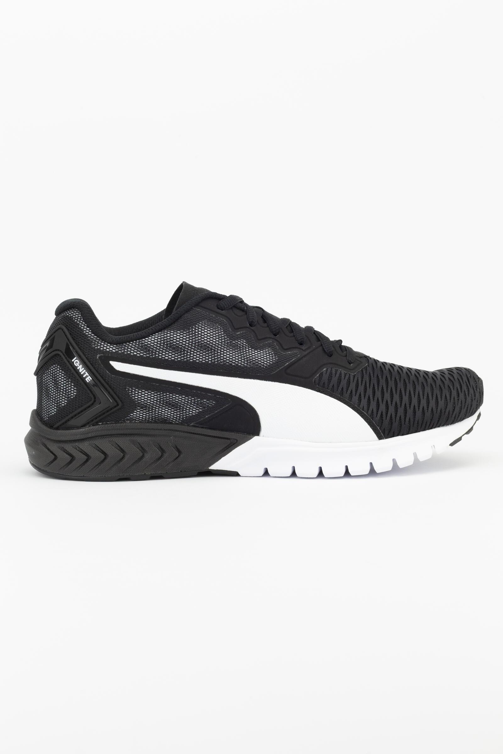 PUMA picture